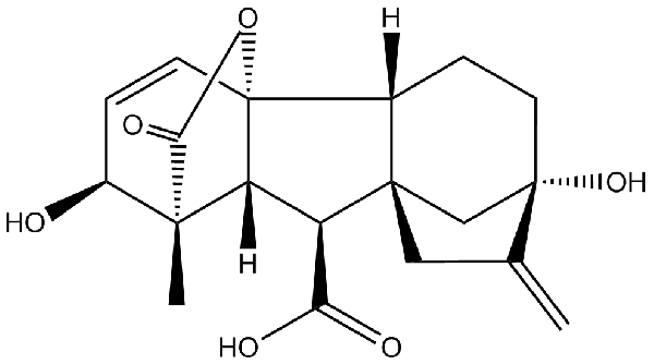 赤霉素GIBBERELLIC ACID，居然有這么神奇？